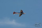 20180725 Zomer