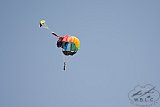 20170621 Zomer