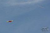 20170621 Zomer