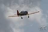 20170621 Zomer