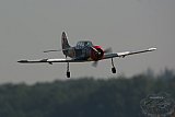 20170621 Zomer