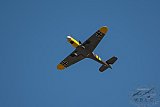 20180725 Zomer