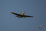 20180725 Zomer