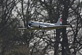 20170218 Voorjaar