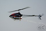 20170218 Voorjaar