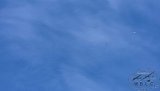 20220710_vliegdag